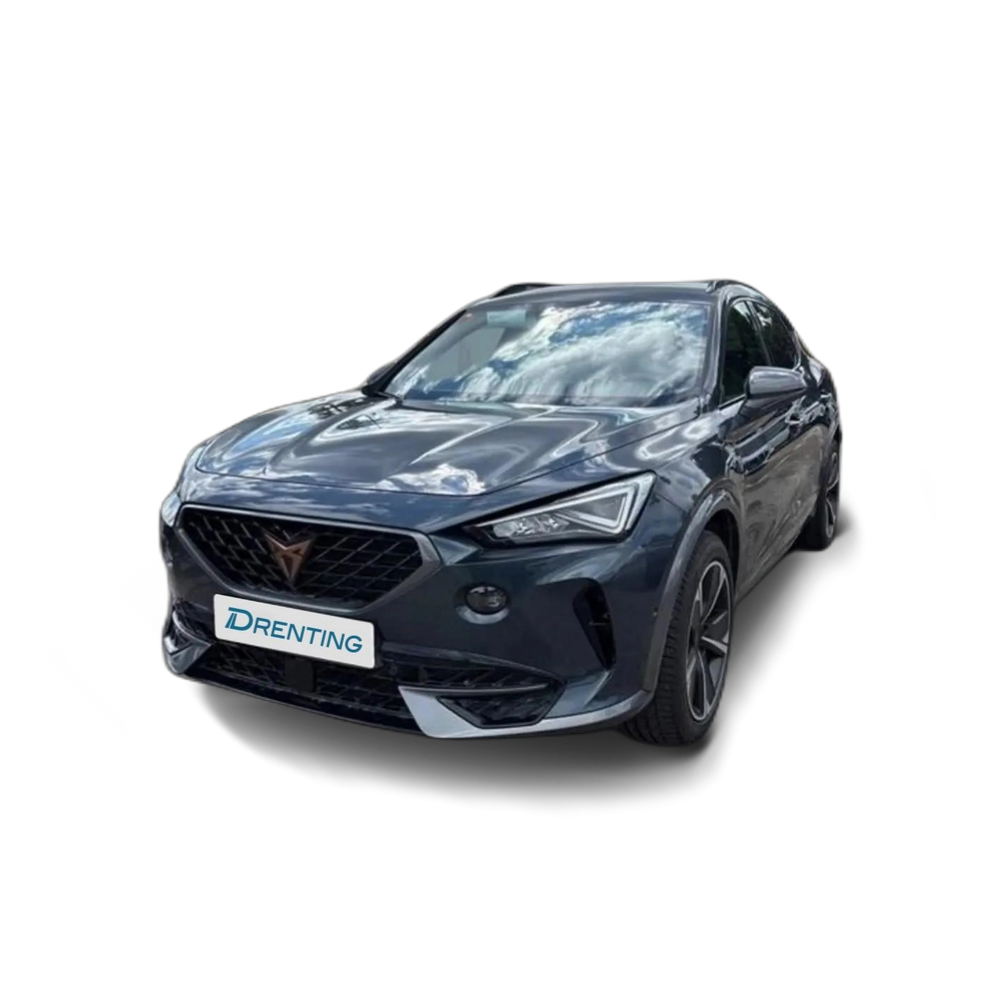 Renting CUPRA Formentor 1.4 e-Hybrid 205 DSG Gris 3