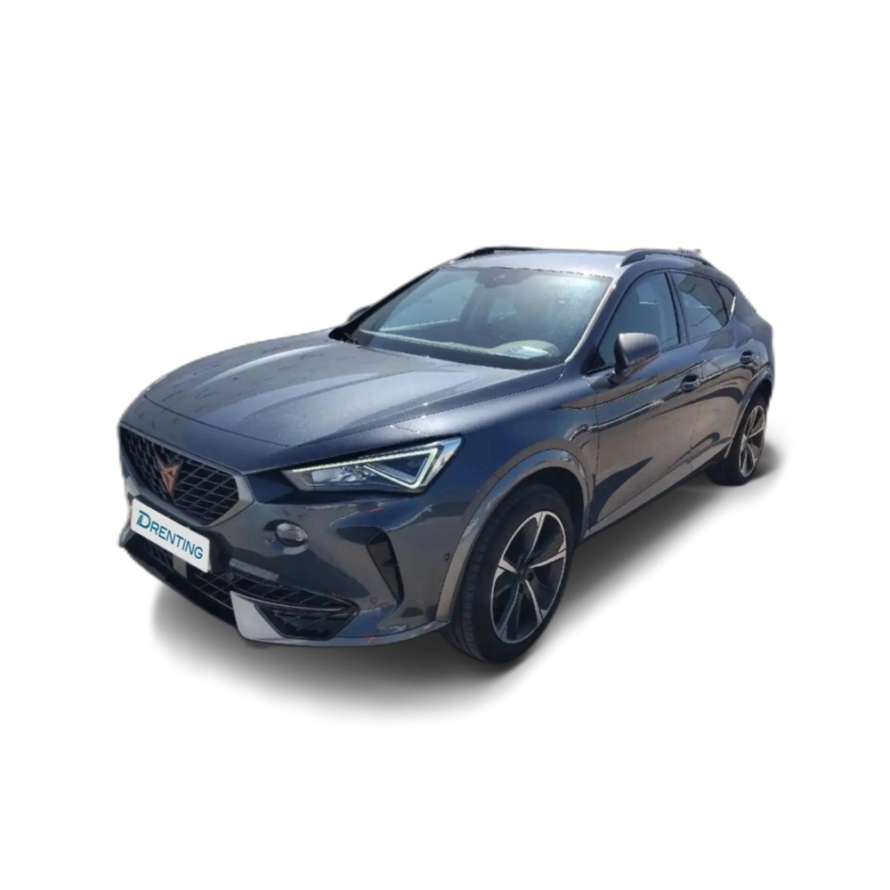 CUPRA Formentor 1.5 TSI 150 DSG Gris 1