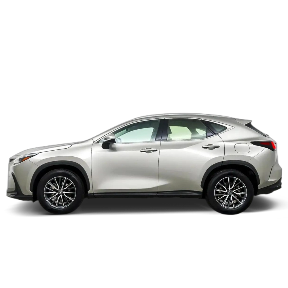 Lexus NX 300 300h Business 2WD Gris