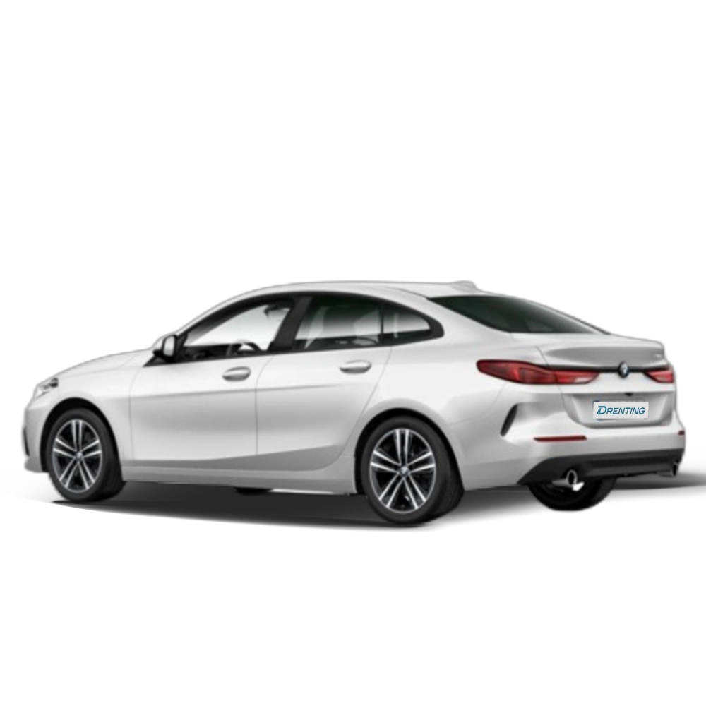 Renting BMW Serie 2 218d Gran Coupe 110 kW (150 CV) 9