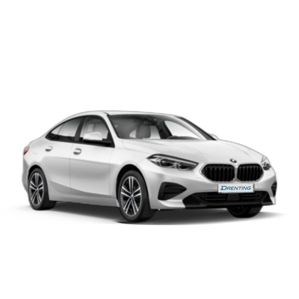 Renting BMW Serie 2 218d Gran Coupe 110 kW (150 CV) 9