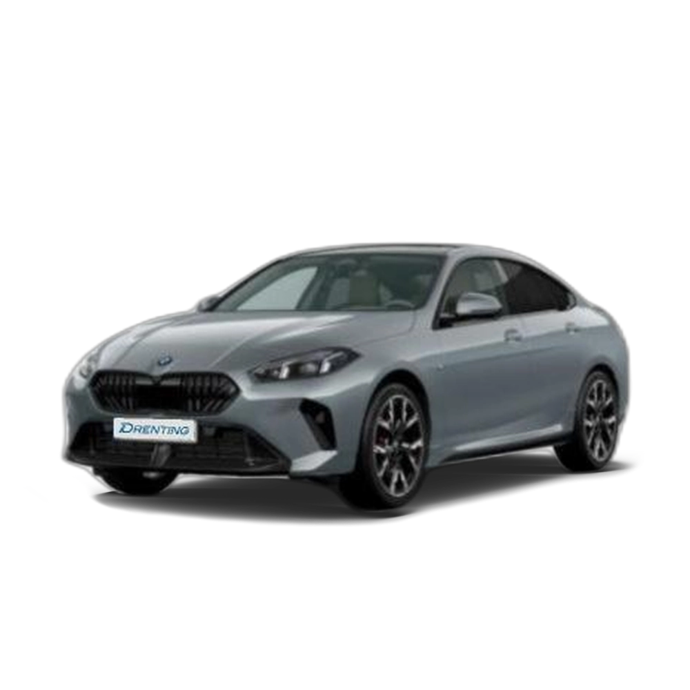 Renting BMW Serie 2 220d Gran Coupe 120 kW (163 CV) 11