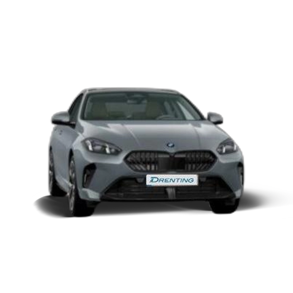 Renting BMW Serie 2 220d Gran Coupe 120 kW (163 CV) 11