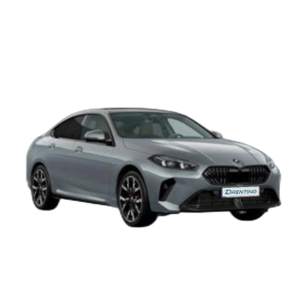 Renting BMW Serie 2 220d Gran Coupe 120 kW (163 CV) 11