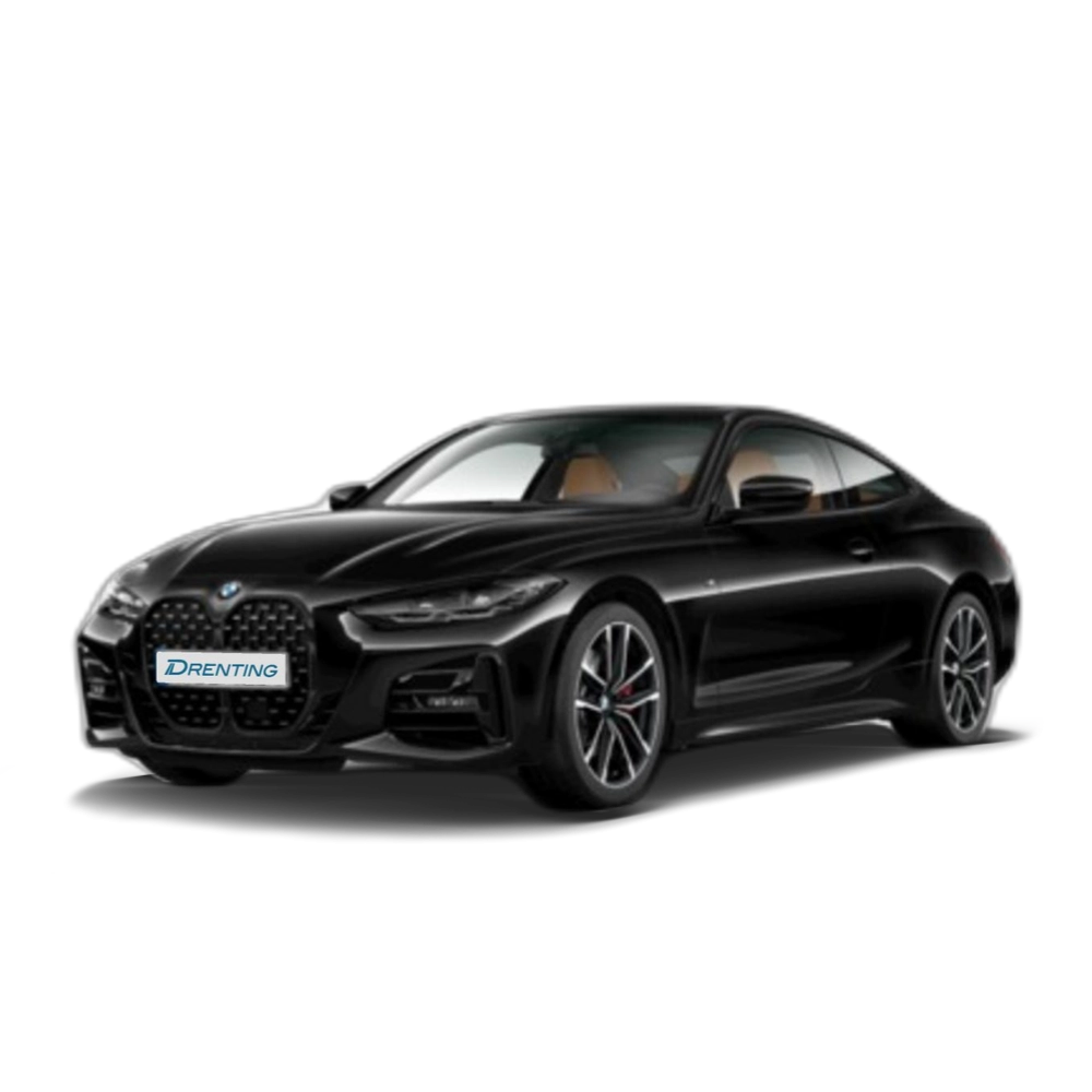 BMW Serie 4 420i Coupe 135 kW (184 CV) 2