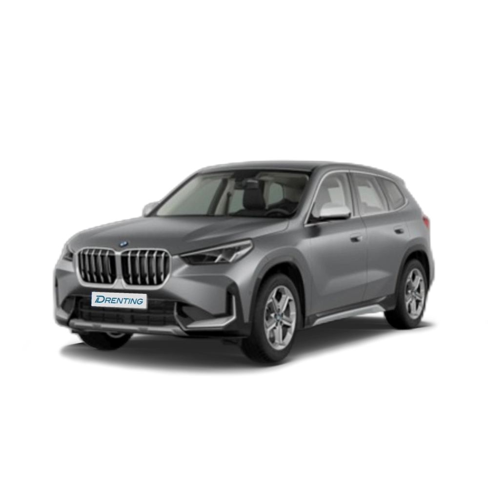 Renting BMW X1 sDrive18d 110 kW (150 CV) 1 10