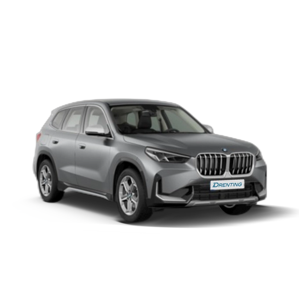 Renting BMW X1 sDrive18d 110 kW (150 CV) 1 10