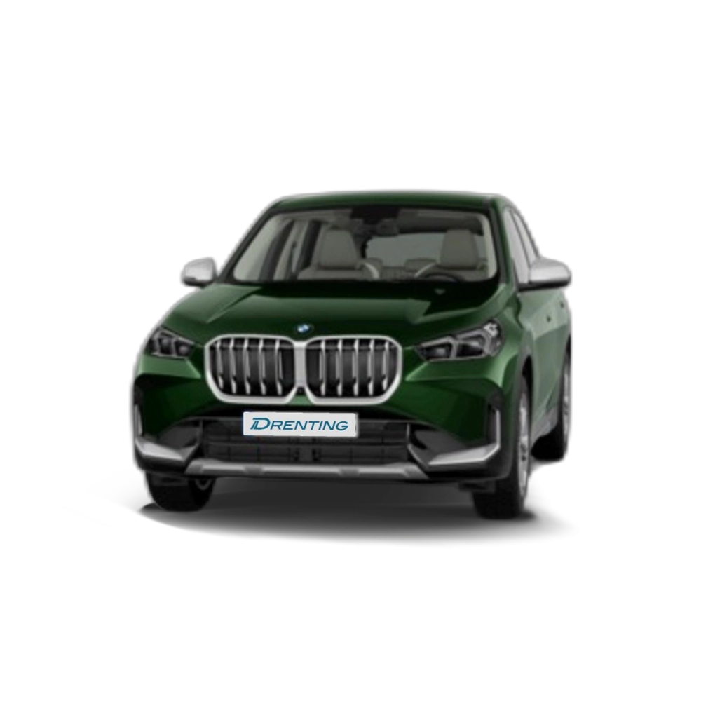 Renting BMW X1 sDrive18d 110 kW (150 CV) 1 11