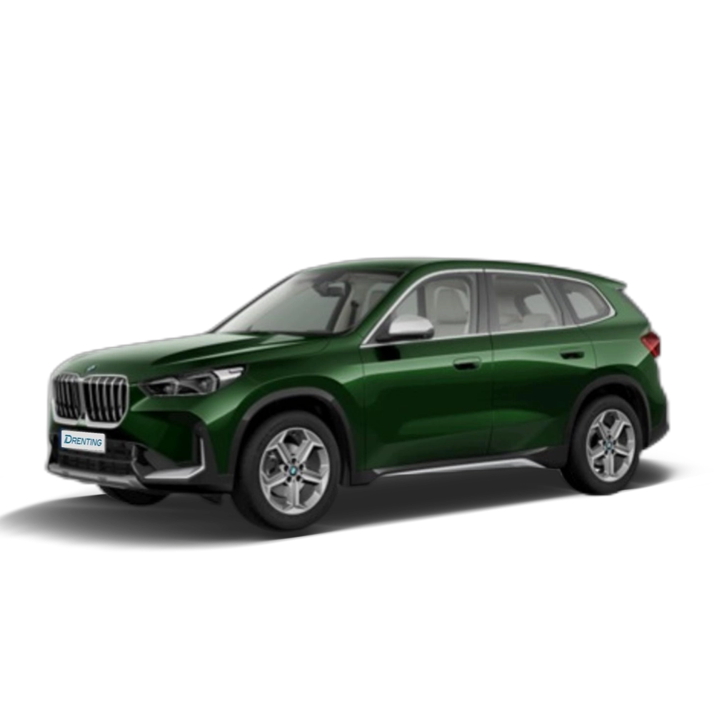 Renting BMW X1 sDrive18d 110 kW (150 CV) 1 11