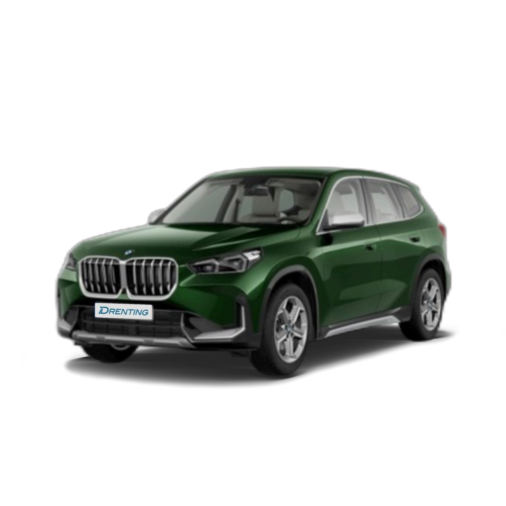 Renting BMW X1 sDrive18d 110 kW (150 CV) 1 11