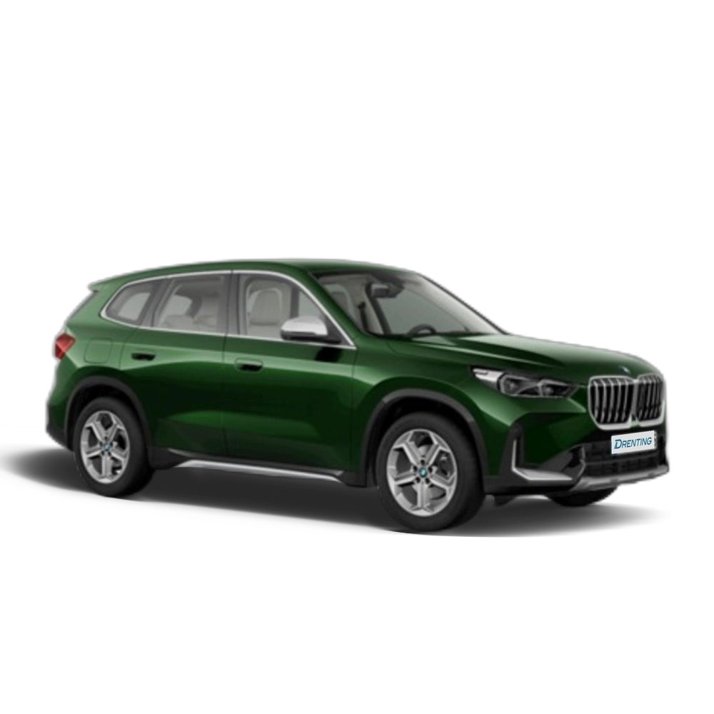 Renting BMW X1 sDrive18d 110 kW (150 CV) 1 11