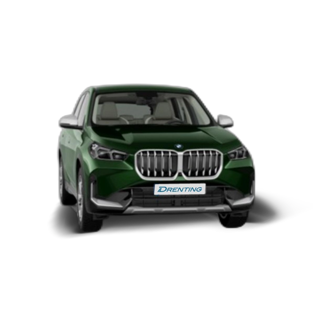 Renting BMW X1 sDrive18d 110 kW (150 CV) 1 11