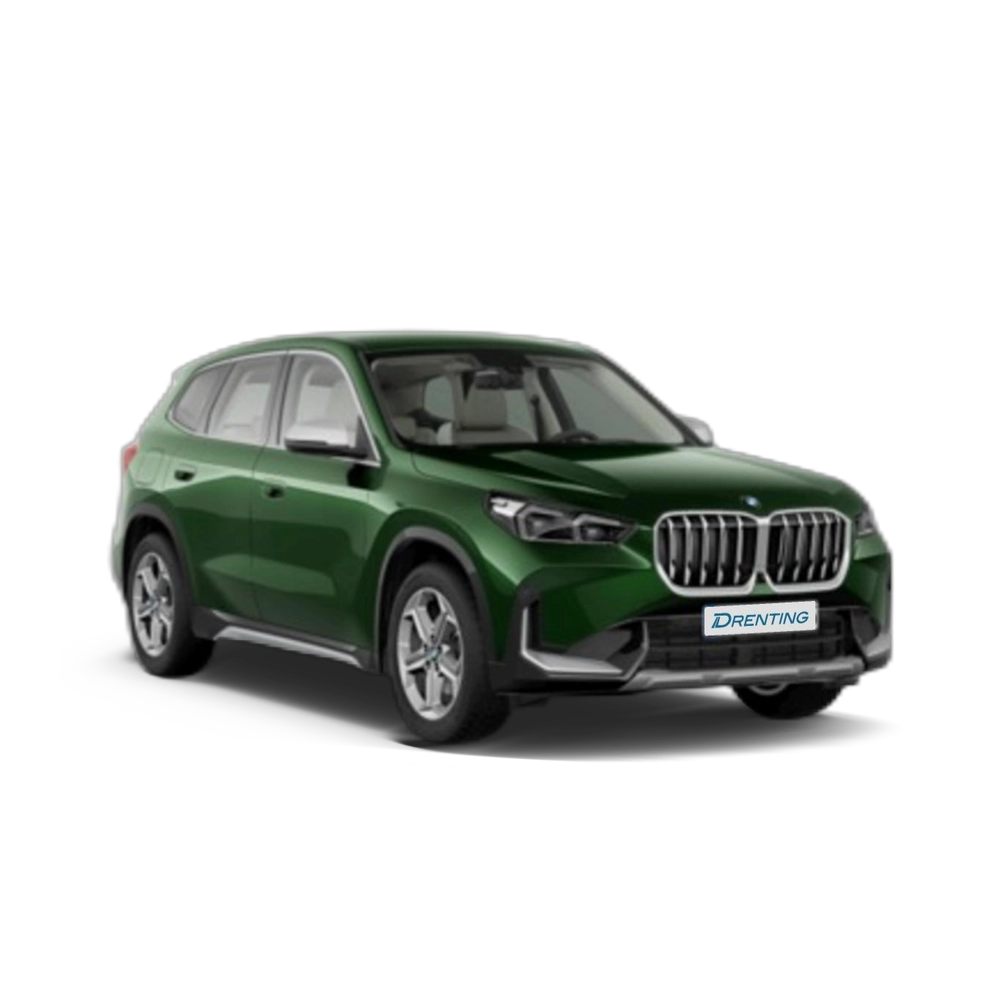 Renting BMW X1 sDrive18d 110 kW (150 CV) 1 11