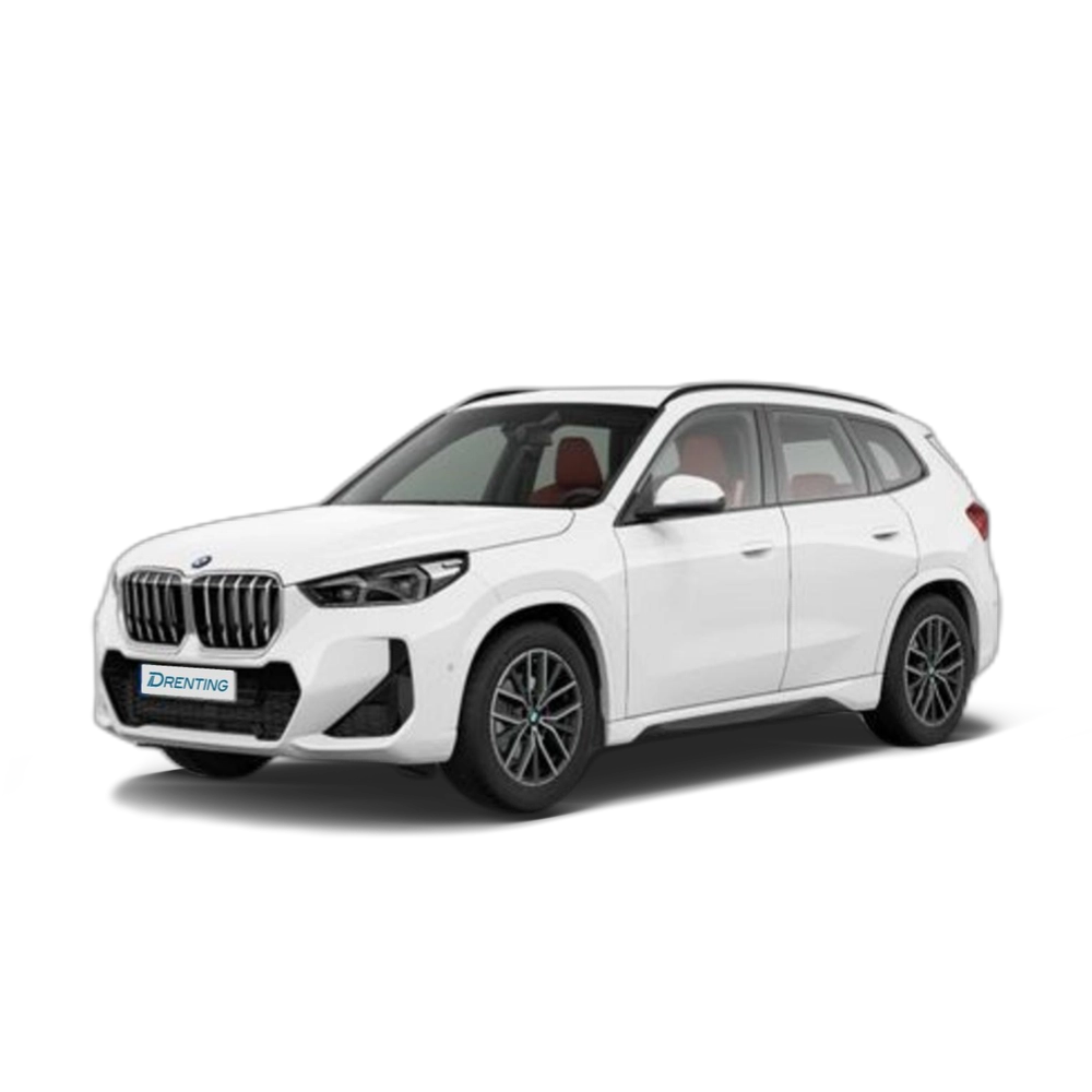 Renting BMW X1 sDrive18i 100 kW (136 CV) 9