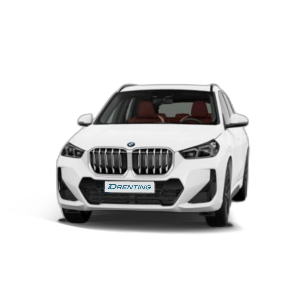 Renting BMW X1 sDrive18i 100 kW (136 CV) 9
