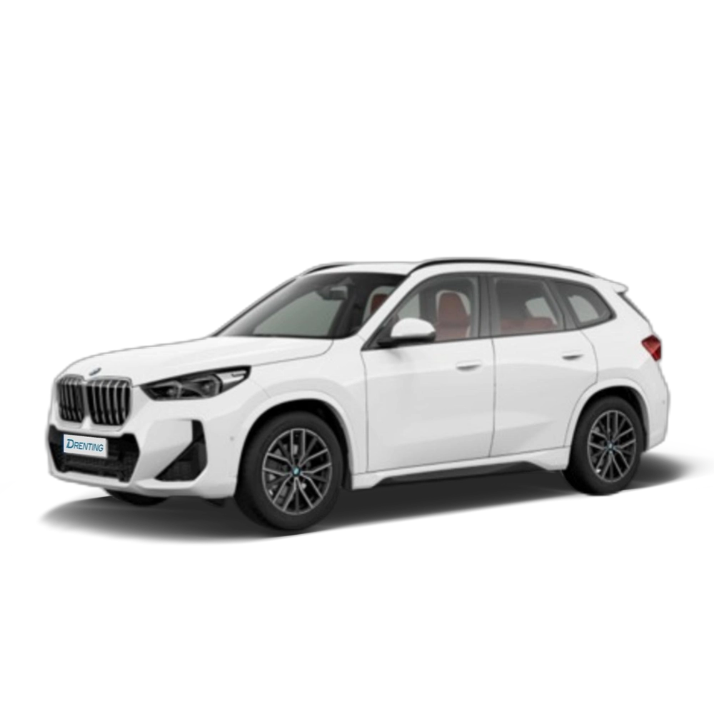 Renting BMW X1 sDrive18i 100 kW (136 CV) 9