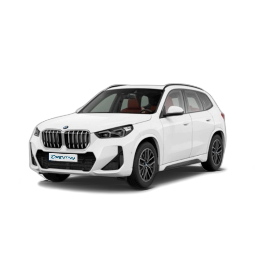 Renting BMW X1 sDrive18i 100 kW (136 CV) 9
