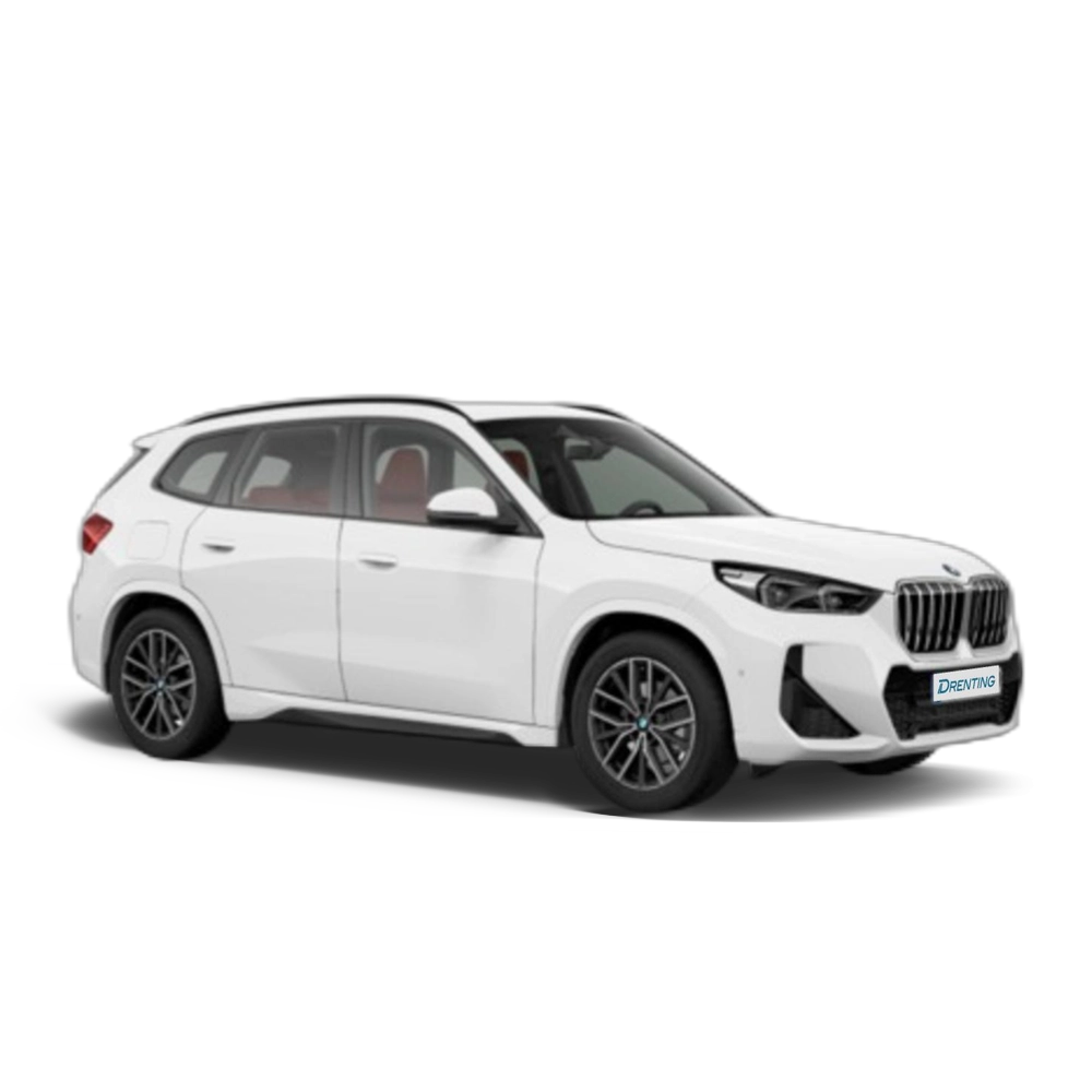 Renting BMW X1 sDrive18i 100 kW (136 CV) 9