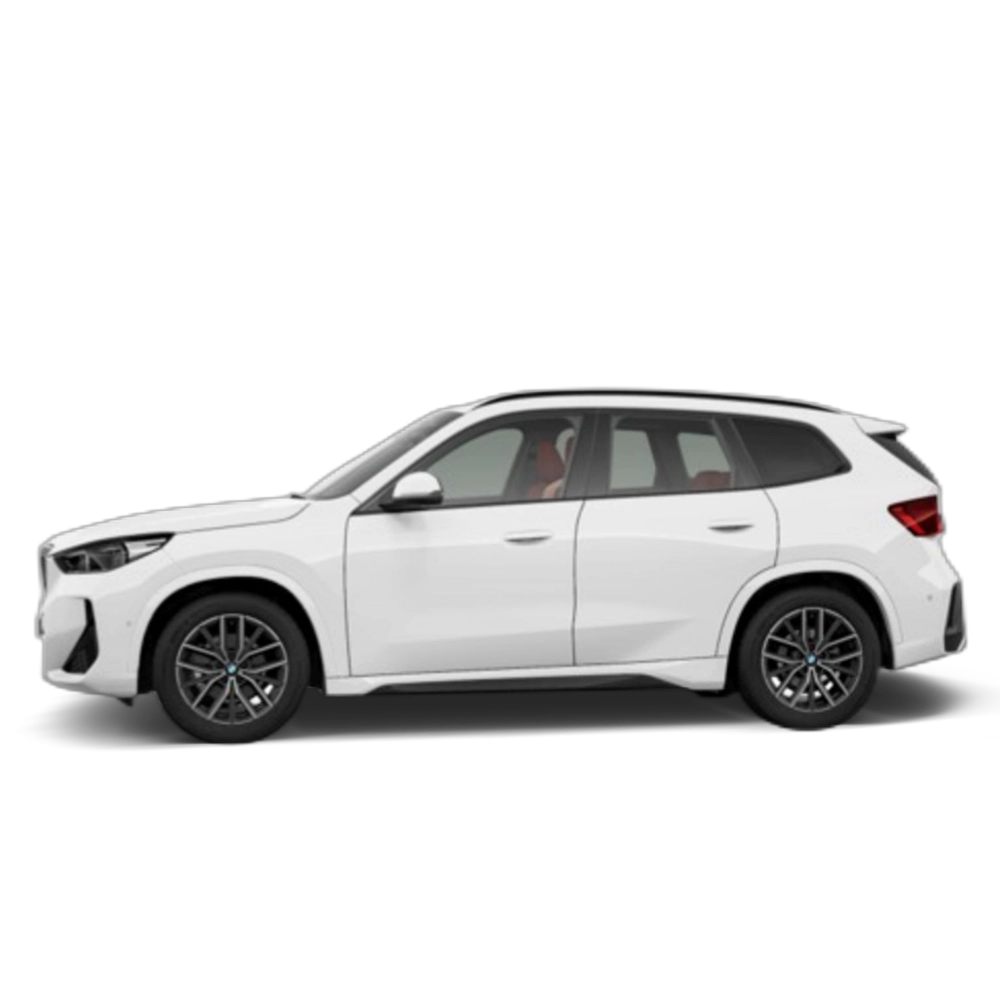 Renting BMW X1 sDrive18i 100 kW (136 CV) 9