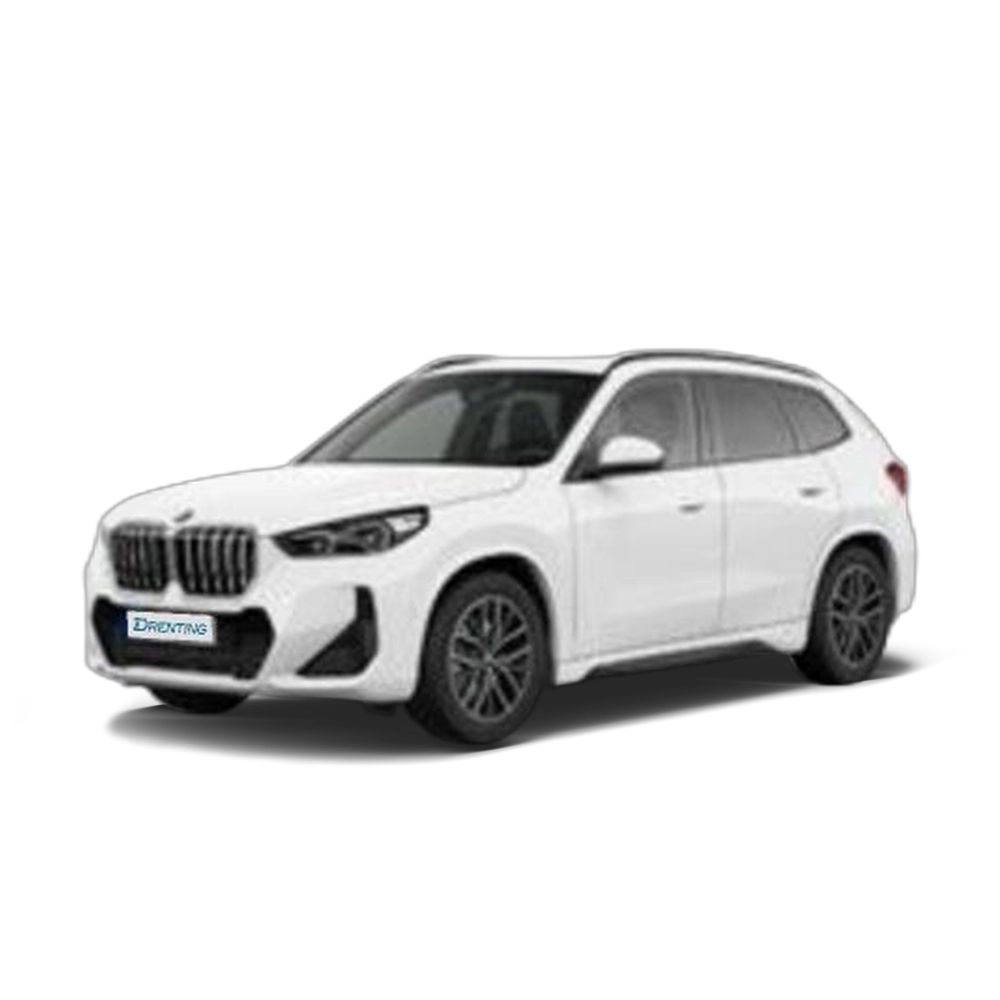 Renting BMW X1 sDrive20d 120 kW (163 CV) 26
