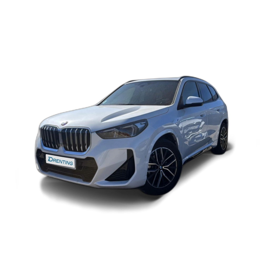 Renting BMW X1 sDrive20d 120 kW (163 CV) 29