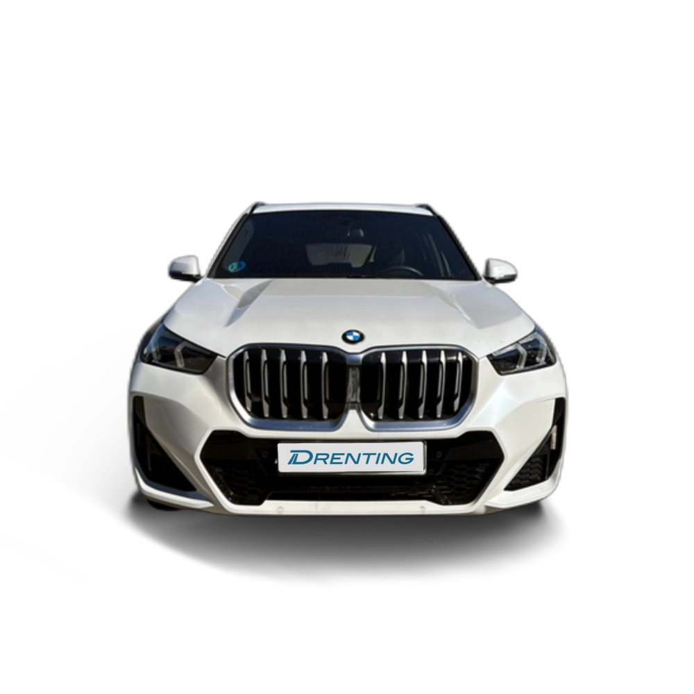 Renting BMW X1 sDrive20d 120 kW (163 CV) 29