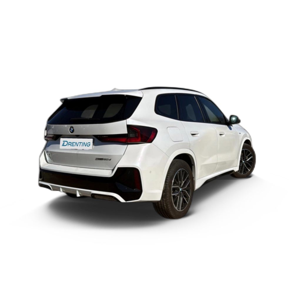 Renting BMW X1 sDrive20d 120 kW (163 CV) 29