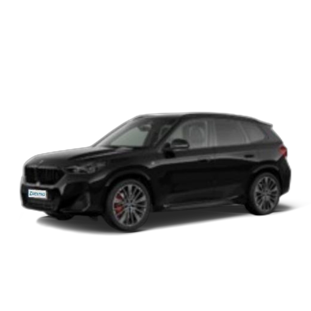 Renting BMW X1 sDrive20d 120 kW (163 CV) 33