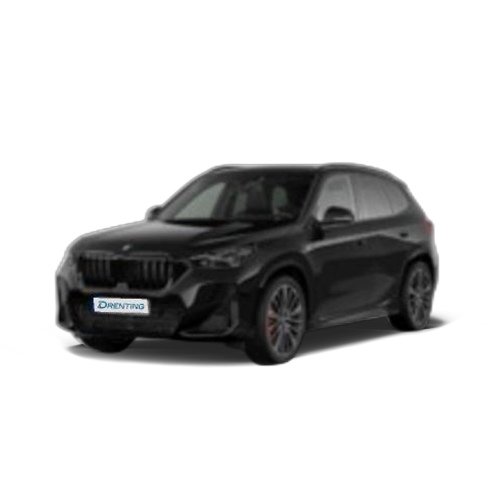 Renting BMW X1 sDrive20d 120 kW (163 CV) 33