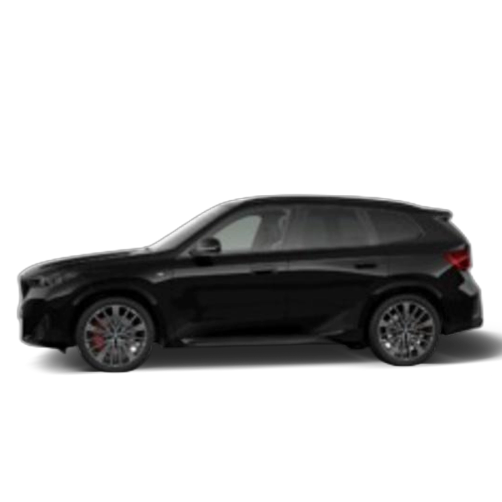 Renting BMW X1 sDrive20d 120 kW (163 CV) 33