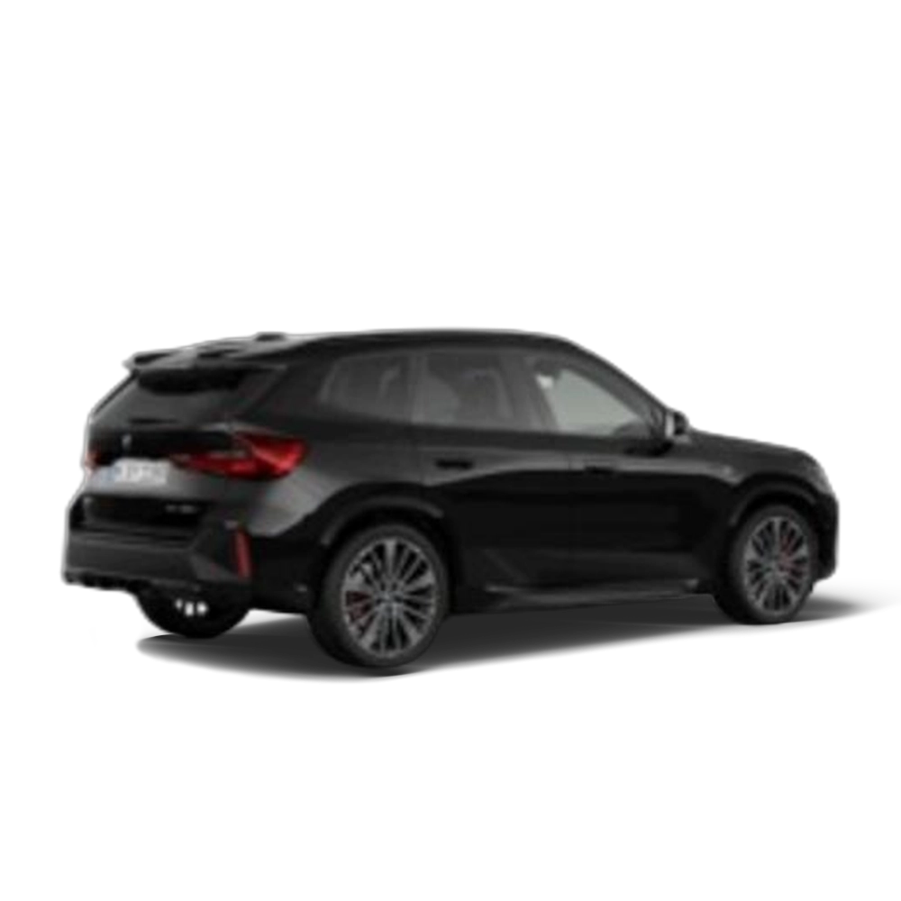 Renting BMW X1 sDrive20d 120 kW (163 CV) 33