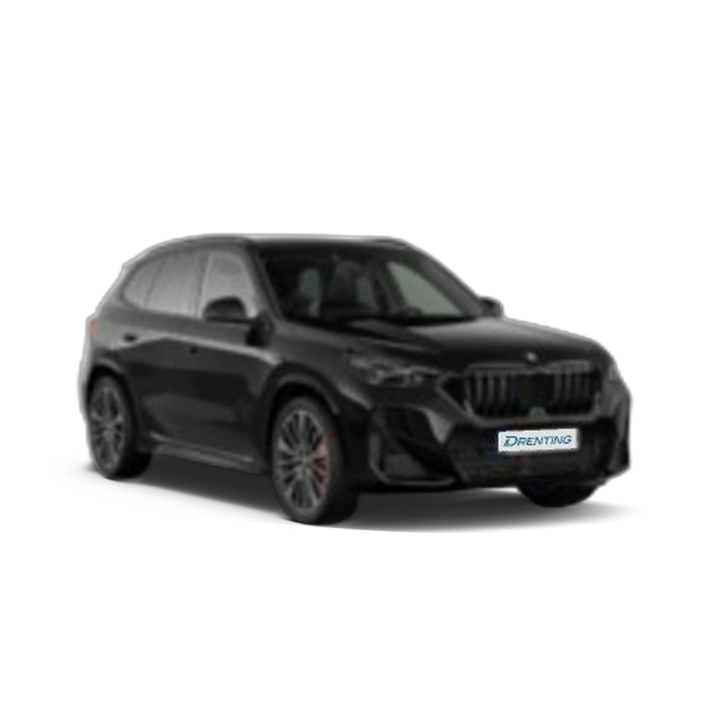 Renting BMW X1 sDrive20d 120 kW (163 CV) 33