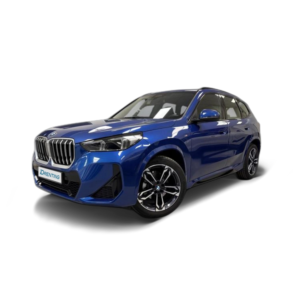 Renting BMW X1 sDrive20d 120 kW (163 CV) 37