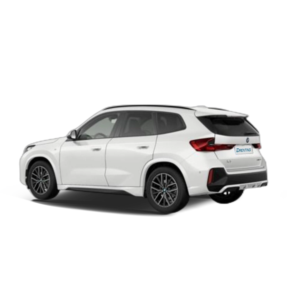 Renting BMW X1 sDrive20d 120 kW (163 CV) 42