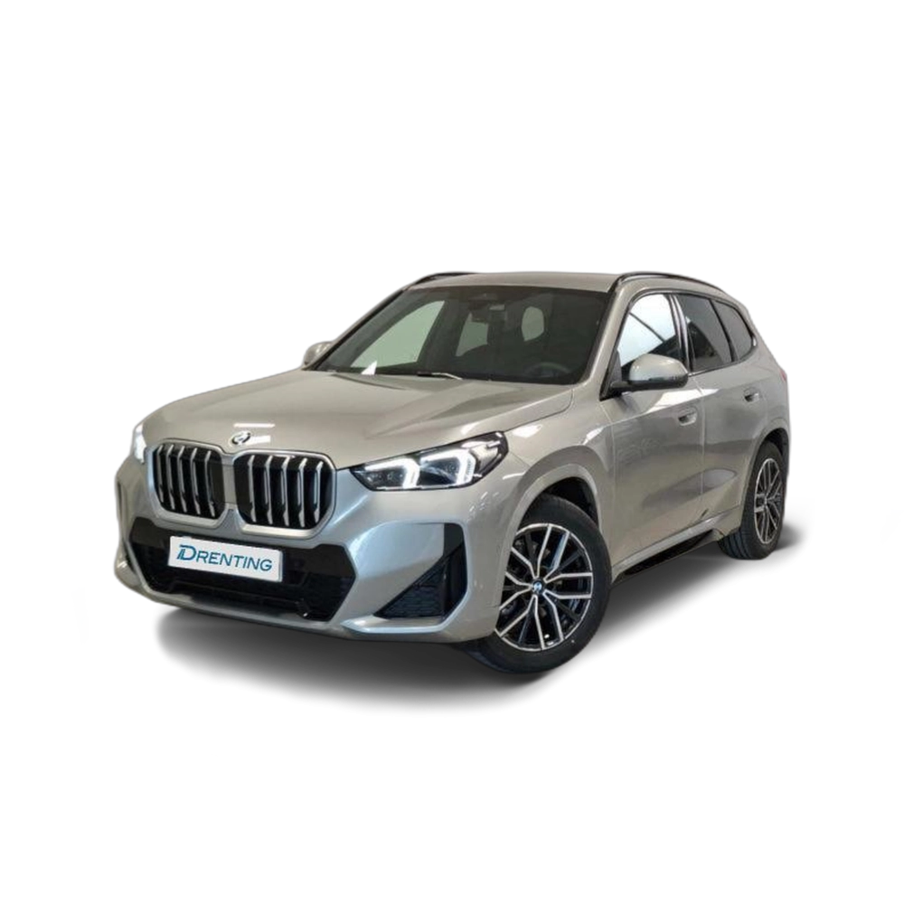 Renting BMW X1 xDrive20d 120 kW (163 CV) 11