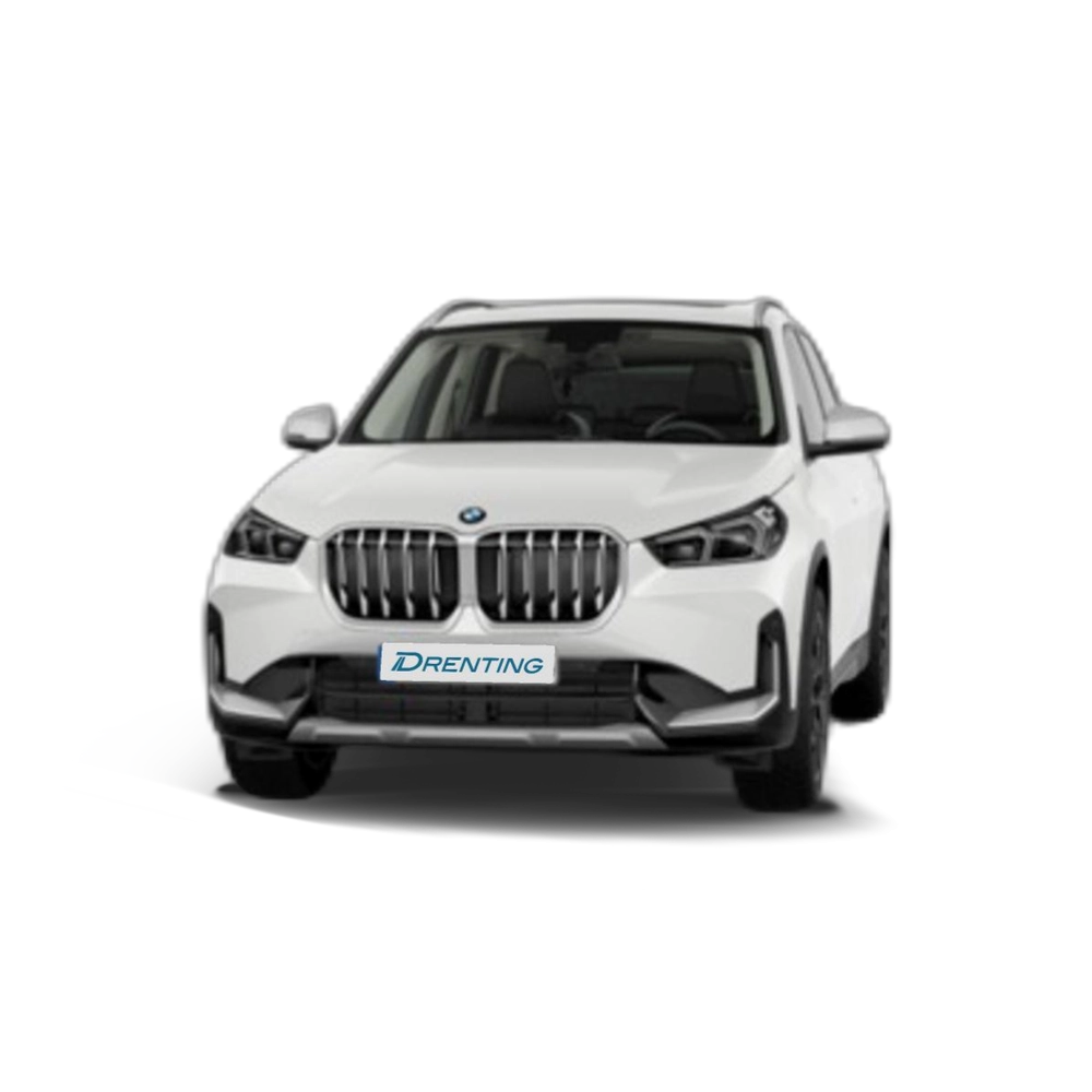 Renting BMW X1 xDrive20d 120 kW (163 CV) 13