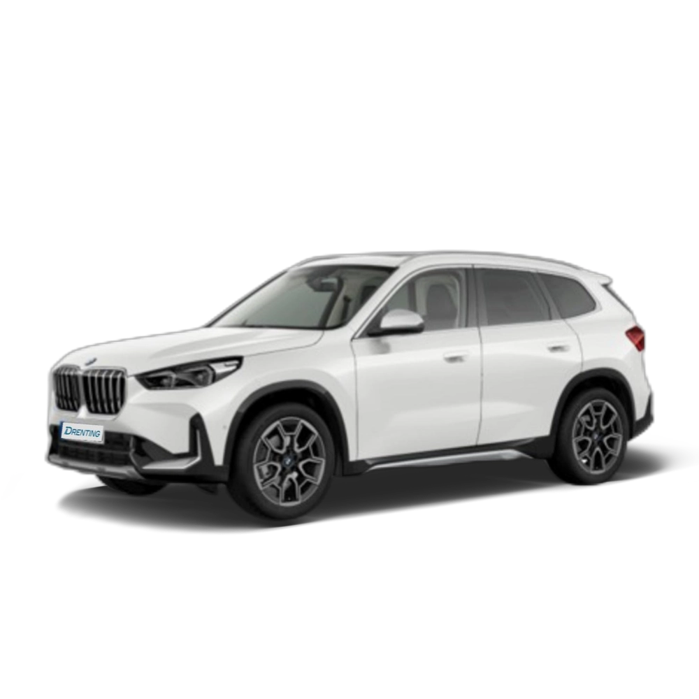 Renting BMW X1 xDrive20d 120 kW (163 CV) 13