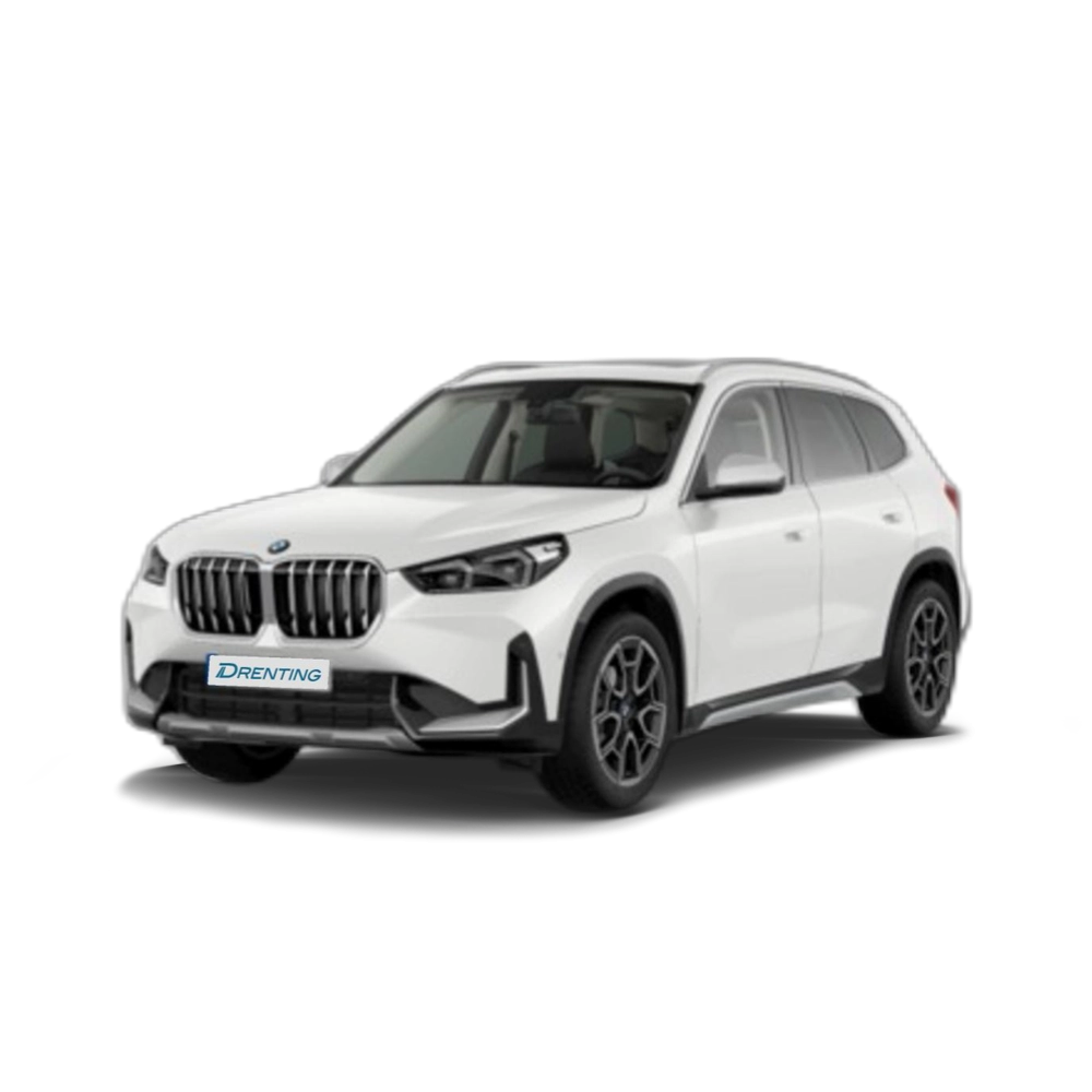 Renting BMW X1 xDrive20d 120 kW (163 CV) 13