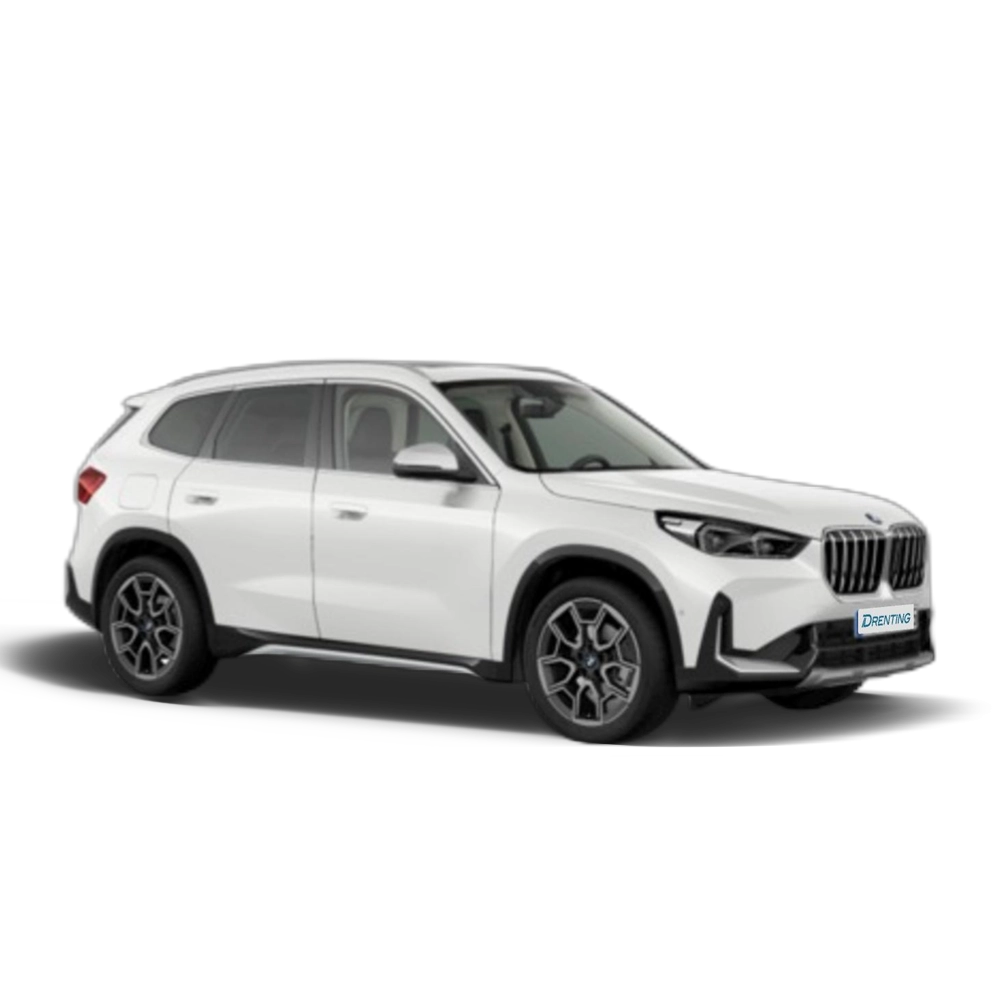 Renting BMW X1 xDrive20d 120 kW (163 CV) 13