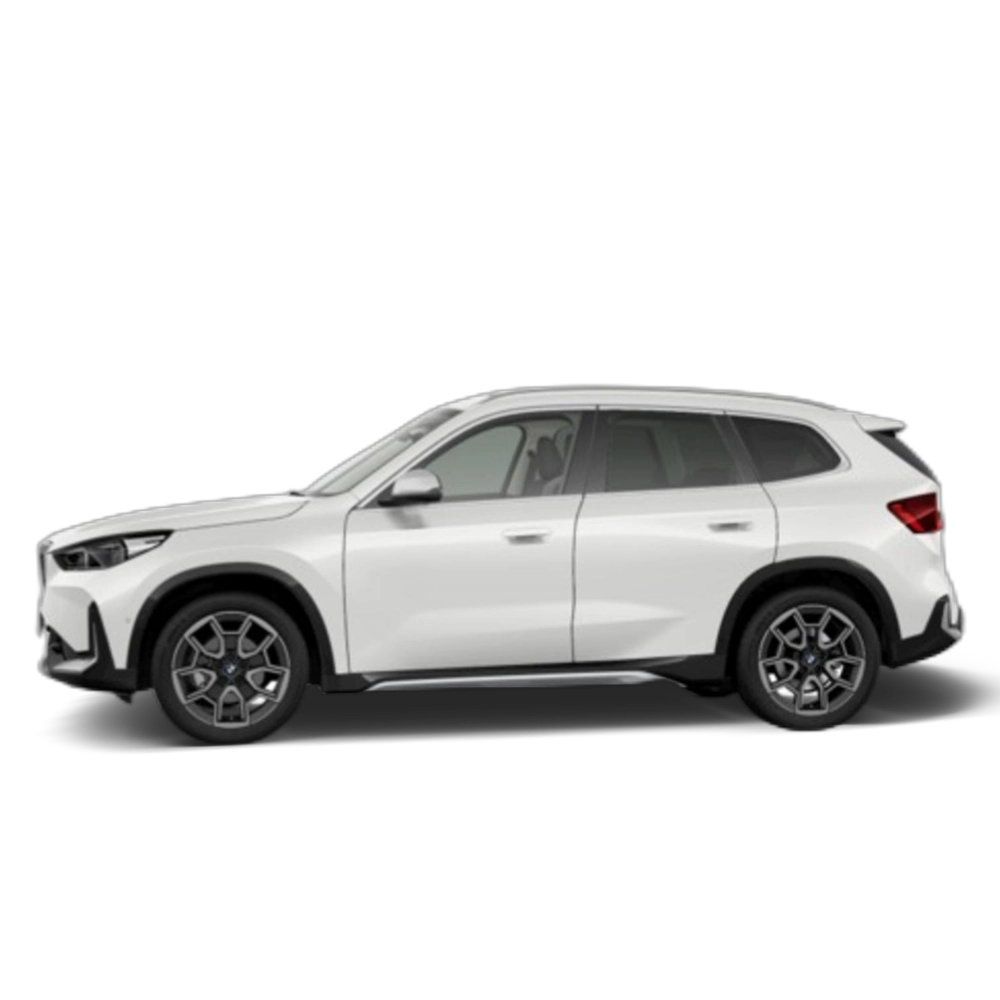 Renting BMW X1 xDrive20d 120 kW (163 CV) 13