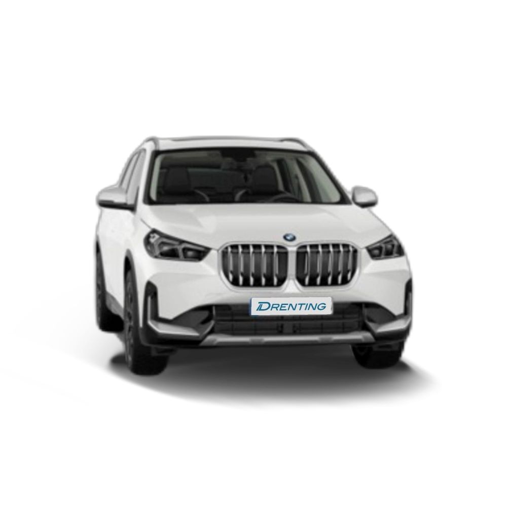 Renting BMW X1 xDrive20d 120 kW (163 CV) 13