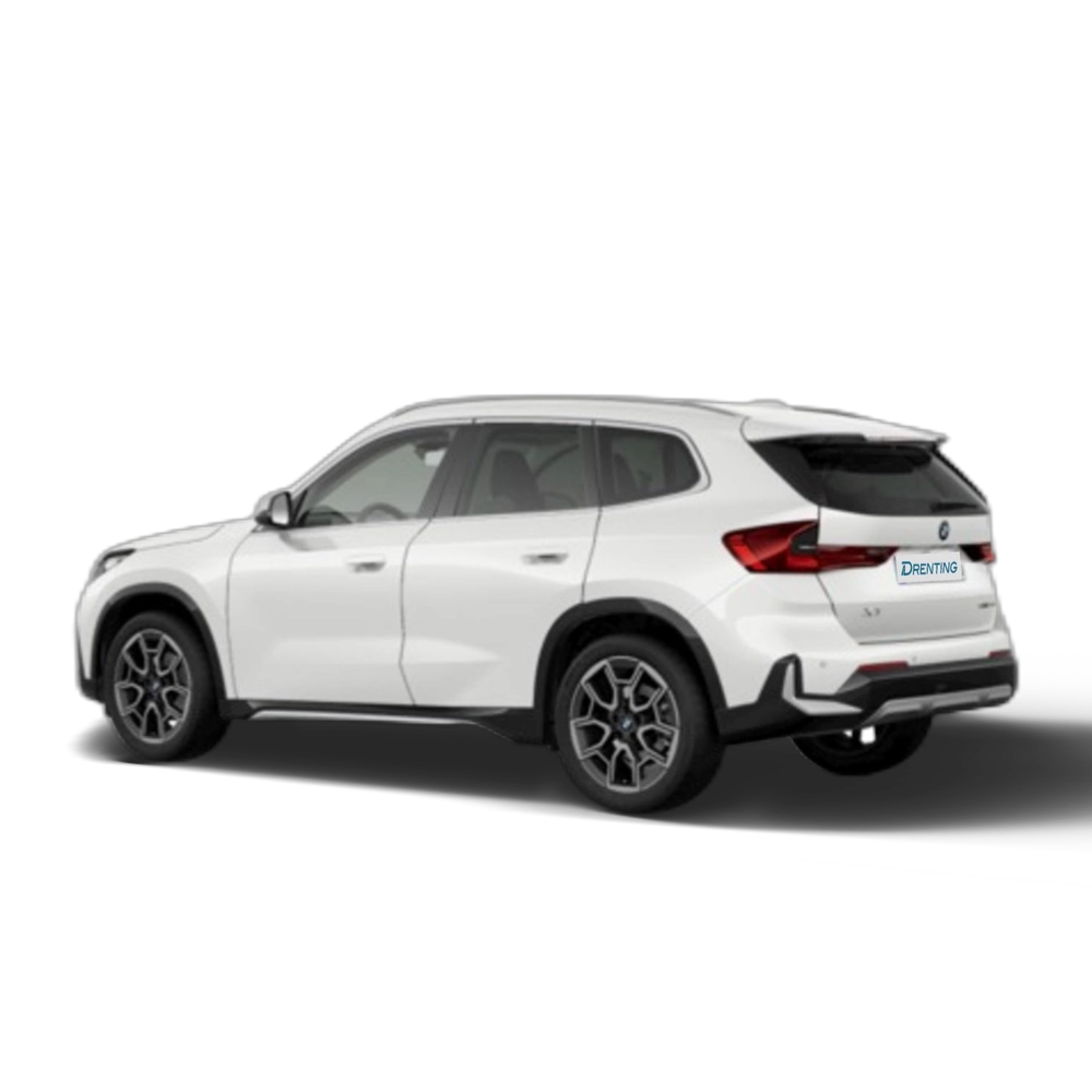 Renting BMW X1 xDrive20d 120 kW (163 CV) 13
