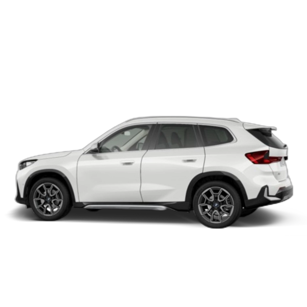 Renting BMW X1 xDrive20d 120 kW (163 CV) 13
