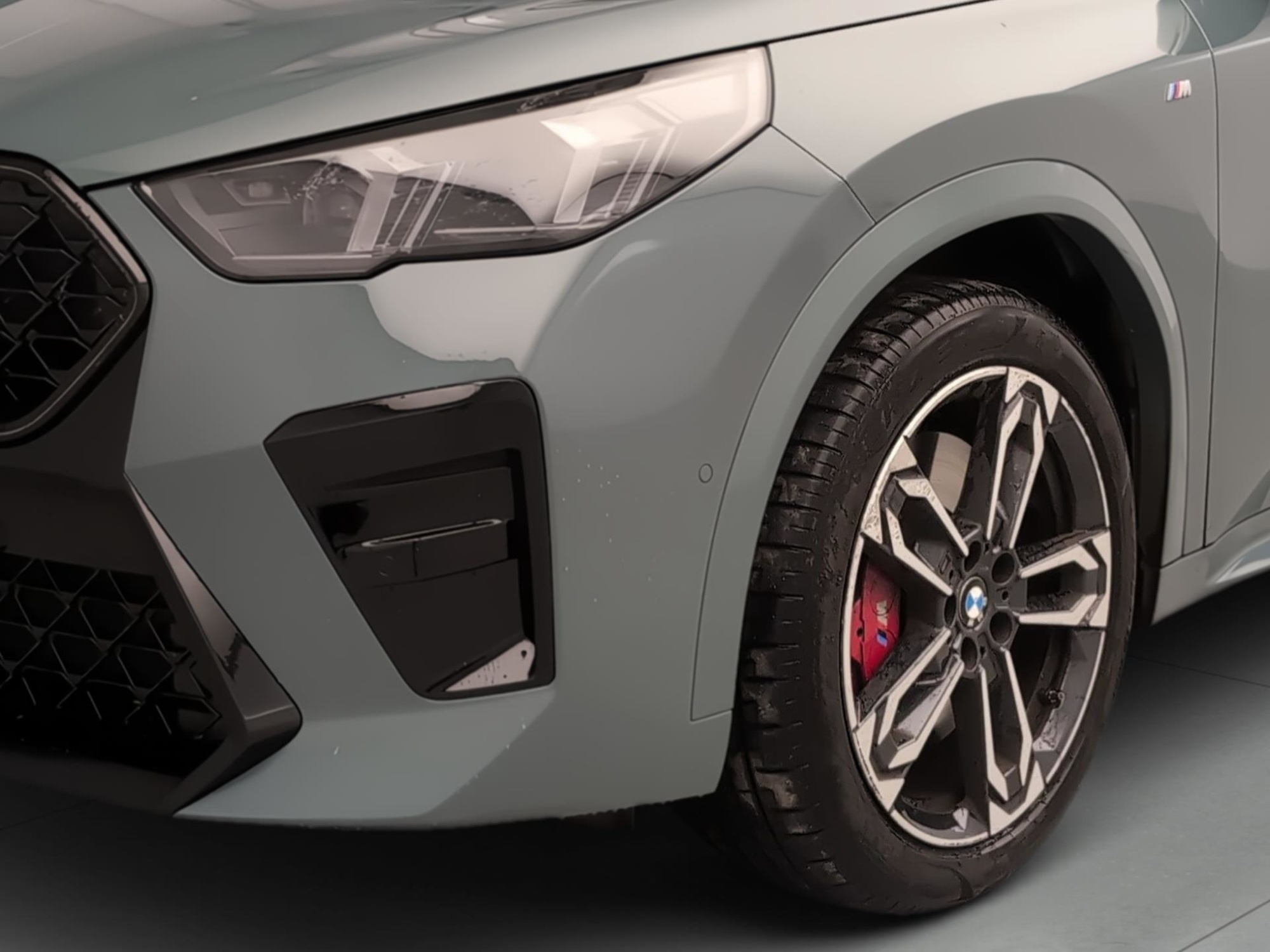 Renting BMW X2 sDrive20d 120 kW (163 CV) 2 18