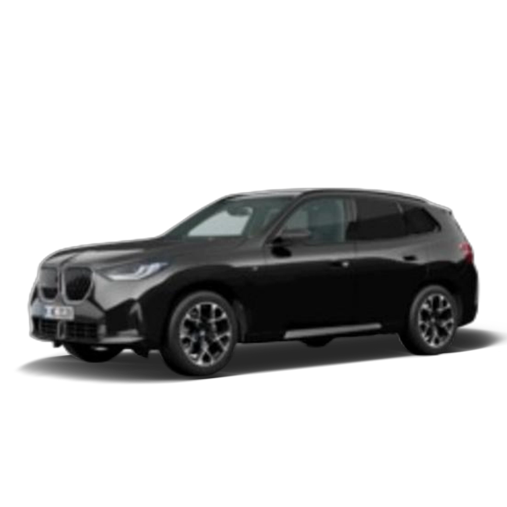 Renting BMW X3 xDrive20d 145 kW (197 CV) 16