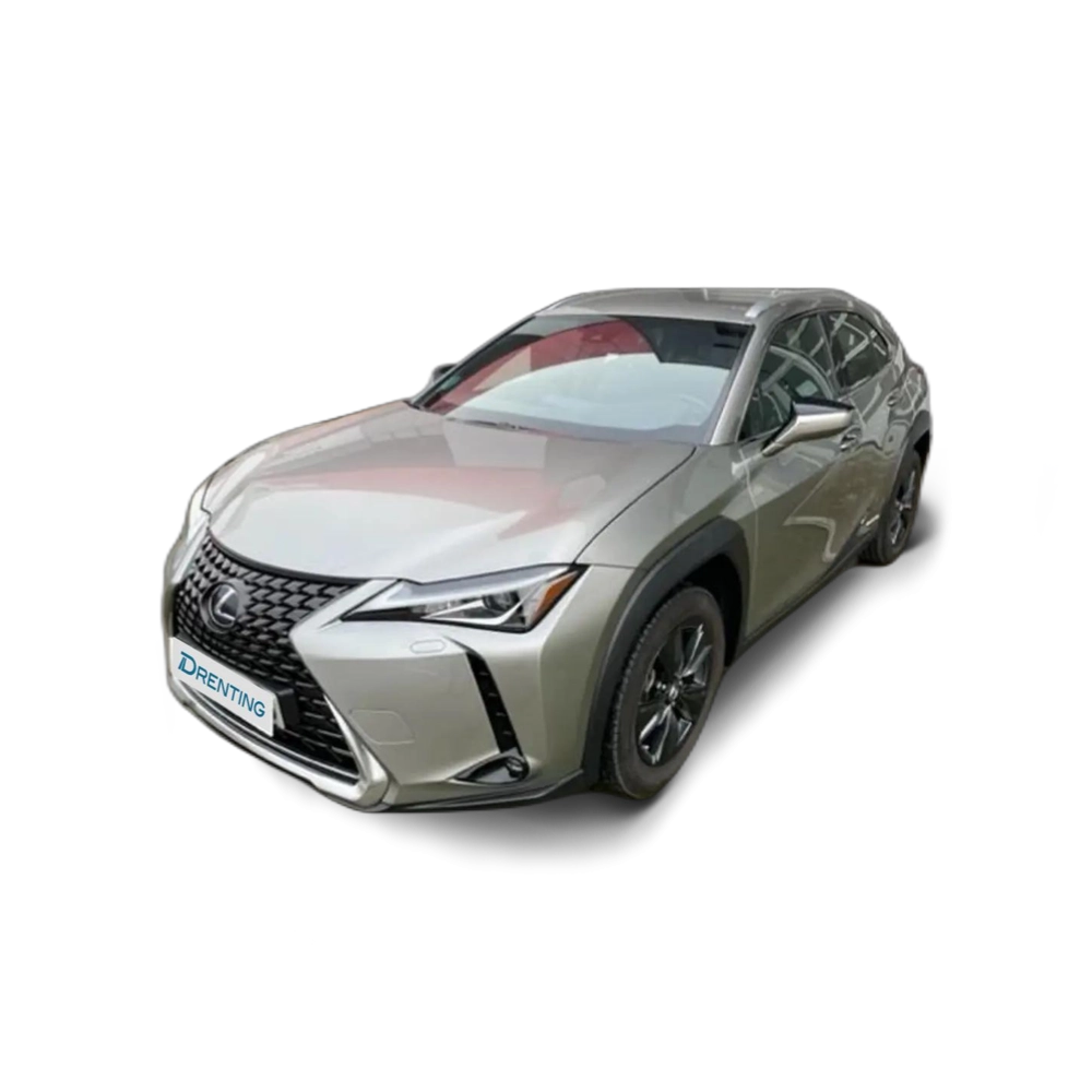 Renting Lexus UX 250h Business City 2WD Gris 2