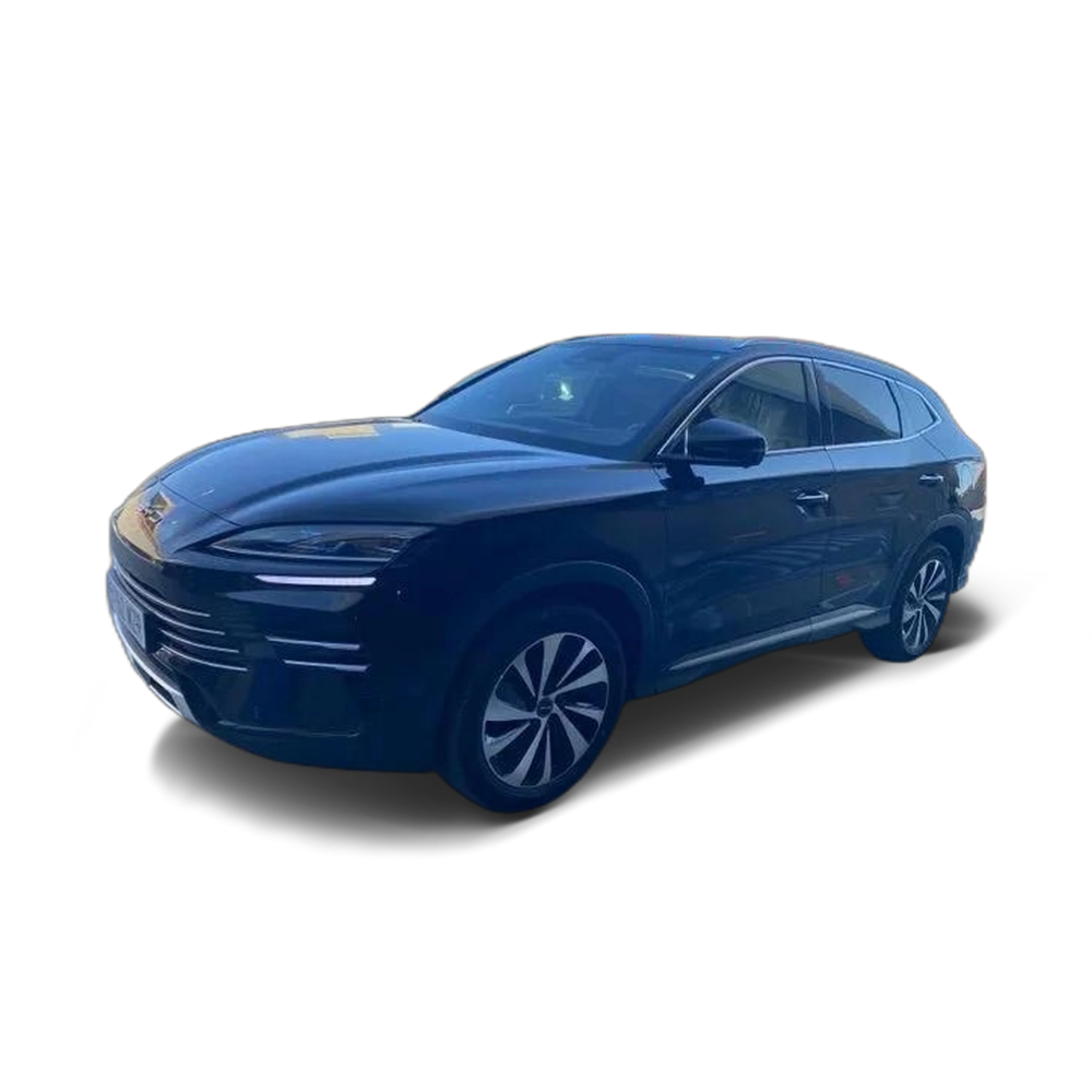 Renting BYD Seal U DM-i Boost 160kW 20 4
