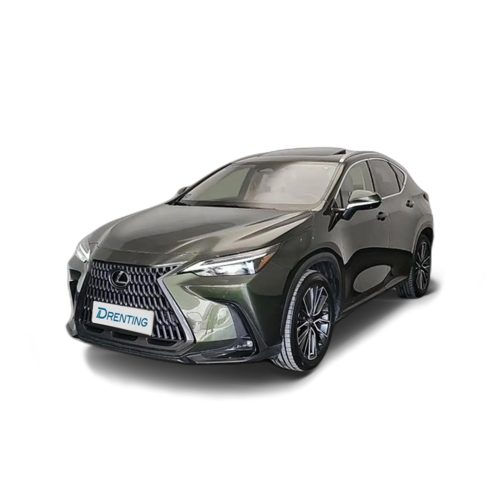 Lexus NX 450h+ Luxury 4WD 225 kW (306 CV) Verde 1