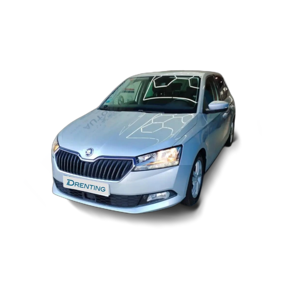 Skoda Fabia 1.0 TSI Ambition 70kW Gris 1