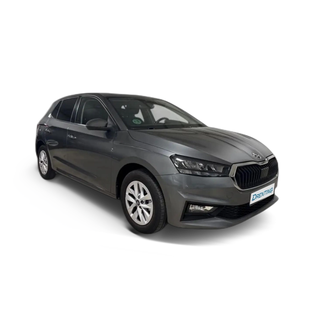 Renting Skoda Fabia 1.0 TSI Selection 70kW Gris 3